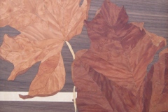 Maple-1