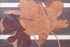 Maple-2