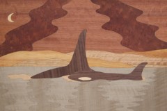 Night-Whales